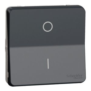Inzetstuk Tweepolige schakelaar I/O opdruk IP55 Mureva Styl