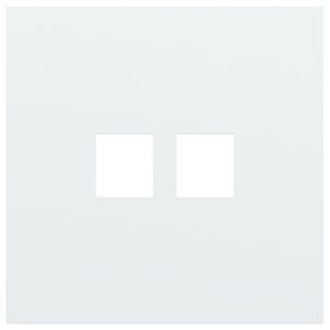 Enkelvoudige afdekplaat 2voudige RJ-aansluiting 154-74102