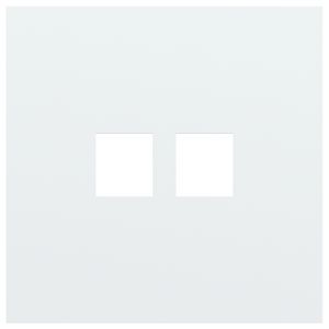 Enkelvoudige afdekplaat 2voudige RJ-aansluiting 154-74102