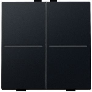 2-voudige toets RF schakelaar/drukknop black