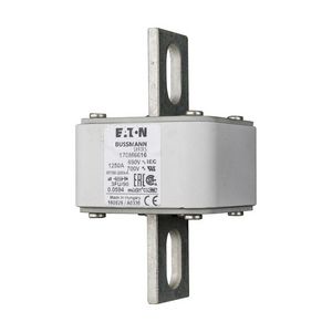 Zekering hoge snelheid 1250A AC 690V 200kA size 3 76x92x1