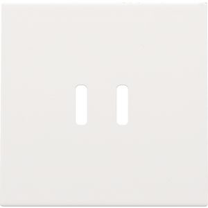 Afwerkingsset dubbele smart USB-C-lader white coated
