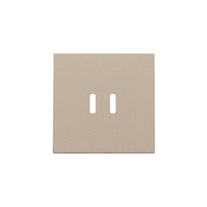 Afwerkingsset dubbele smart USB-C-lader champagne coated