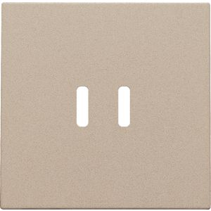 Afwerkingsset dubbele smart USB-C-lader champagne coated
