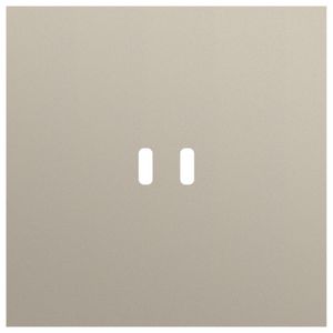 Enkelvoudige afdekplaat voor dubbele USB-C lader 166-74103
