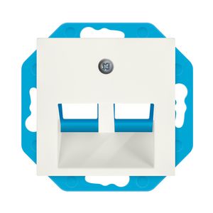 Modular Jack 30gr. 2-voudig + Centraalplaat E1 Mat t VVE=10