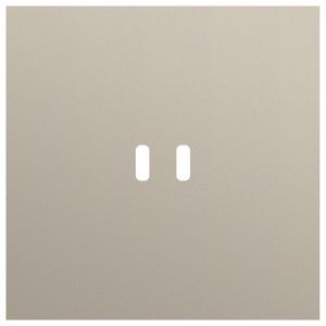 Enkelvoudige afdekplaat voor dubbele USB-C lader 166-74103
