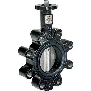 2-weg vlinderklep PN16 DN50 Kvs90 F05 RVS LUG