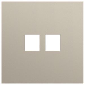 Enkelvoudige afdekplaat 2voudige RJ-aansluiting 166-74102
