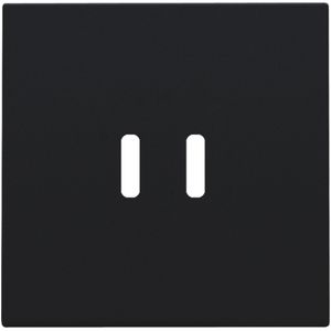 Afwerkingsset dubbele smart USB-C-lader black coated