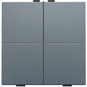 2-voudige toets RF schakelaar/drukknop blue grey