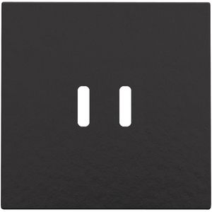 Afwerkingsset dubbele smart USB-C-lader piano black coated