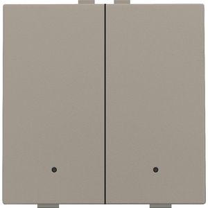 2-voudige drukknop led Home Control bronze