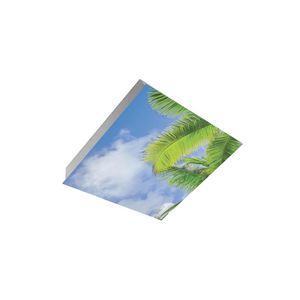 BL Sky LED 6060 4000lm Type 03 Cloudy 6 Panel DALI