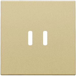 Afwerkingsset voor dubbele smart USB-C-lader gold coated