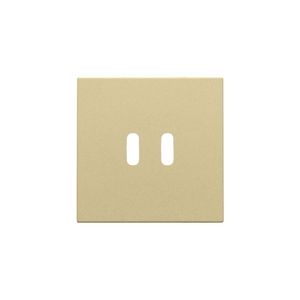 Afwerkingsset voor dubbele smart USB-C-lader gold coated