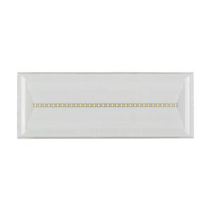 Noodverlichting opbouw decentraal 15uur AT/CGLine+ 800lm