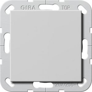 Wipschakelaar BS 20AX uit 2-p System 55 grijs m