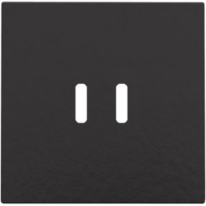 Afwerkingsset dubbele smart USB-C-lader piano black coated