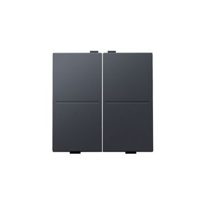 2-voudige toets RF schakelaar/drukknop anthracite