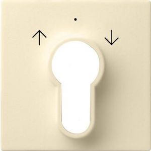 Afdekking sleutelschakelaar /-drukcontact System 55 creme wit
