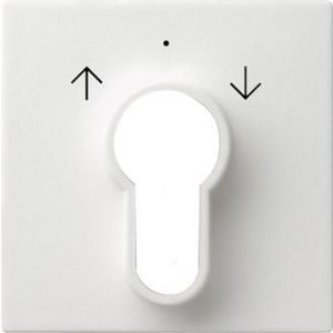 Afdekking sleutelschakelaar /-drukcontact System 55 zuiver wit