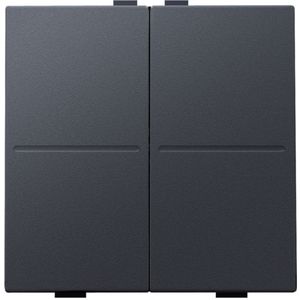 2-voudige toets RF schakelaar/drukknop anthracite
