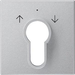 Afdekking sleutelschakelaar /-drukcontact System 55 kl.alum.