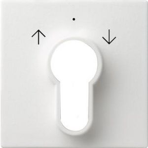 Afdekking sleutelschakelaar /-drukcontact System 55 zuiver wit m