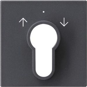 Afdekking sleutelschakelaar /-drukcontact System 55 antraciet