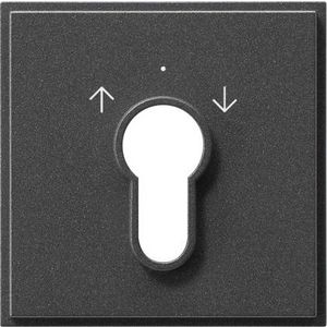 Afdekking sleutelschakelaar /-drukcontact Gira TX_44 (SW IB) antraciet