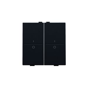 2-voudige toets met opdruk I en 0 RF schakelaar/knop black