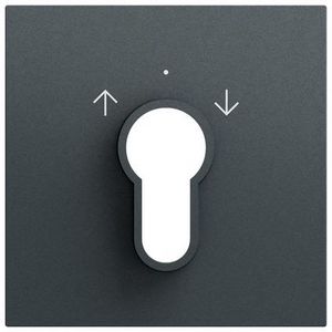Afdekking sleutelschakelaar /-drukcontact System 70 antracit(gel.)