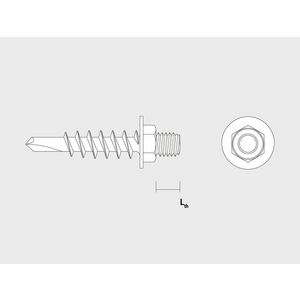 Profielplaatschroef zelfborend verzinkt M8x10 VVE=100