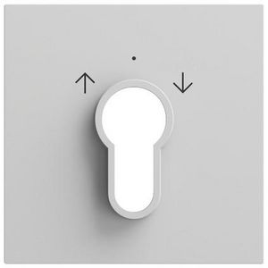 Afdekking sleutelschakelaar /-drukcontact System 70 gris m(gel.)