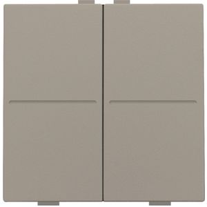 2-voudige toets RF schakelaar/drukknop bronze