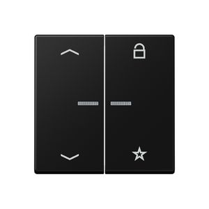 Tastafdekking pijlen A500 slagv.matzwart eNet