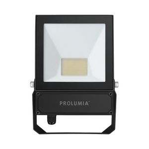 Pro-Flood basic 50Watt 3000K 41060650