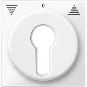 "Centraalplaat sleutel rolluik-impulsschakelaars - Polarwit