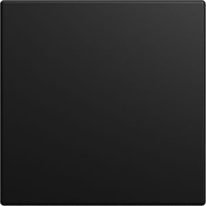 Infoline cpl blind SI-B-matzwart (1576 C-915)