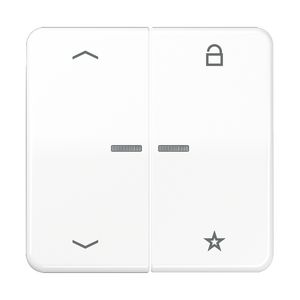 Tastafdekking pijlen CD500 alp.wit eNet