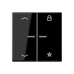 Tastafdekking pijlen A500 zwart eNet