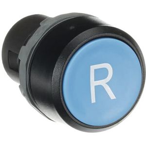 Reset pushbuttton blue with "r"