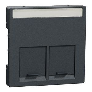 Central plate for Actassi module 2-gang anthracite System M