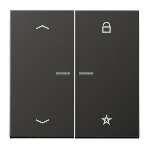 Tastafdekking pijlen LS-antraciet eNet