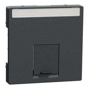 Central plate for Actassi module 1-gang anthracite System M