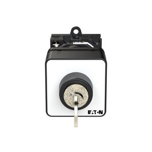 Aan-Uit-schakelaar 2-polig 20A sleutelbed S-T0 frontpl.0 014971