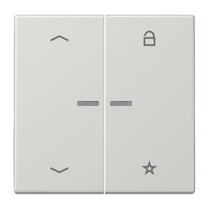 Tastafdekking pijlen LS990 licht grijs eNet