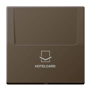 Afdekking hotelcard LS messing antiek