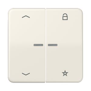 Tastafdekking pijlen CD500 wit eNet